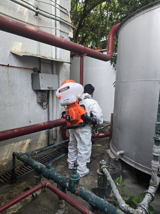 Securopest - Pest Control Services work photo
